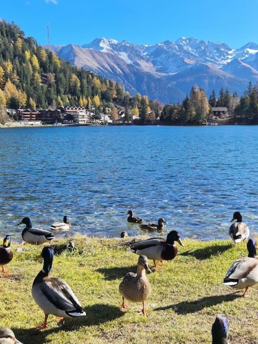 Superbe Appartement Champex-Lac Avec Piscine Et Sauna Zewnętrze zdjęcie
