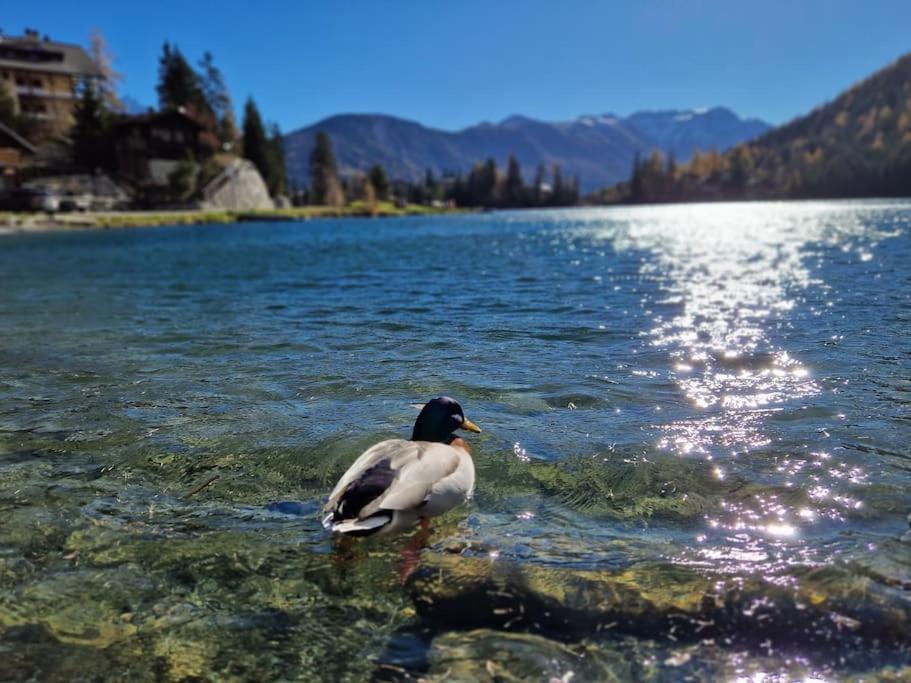 Superbe Appartement Champex-Lac Avec Piscine Et Sauna Zewnętrze zdjęcie